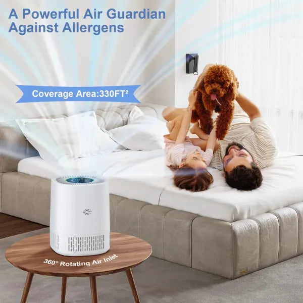 AirLume Air Cleaners for House US8