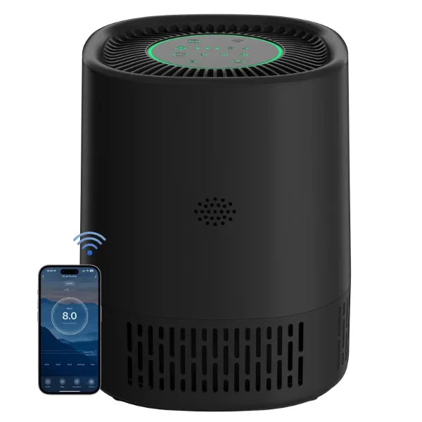 AirLume Air Cleaners for House US8