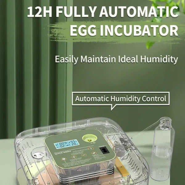 EggCrest Chicken Egg Incubators US8