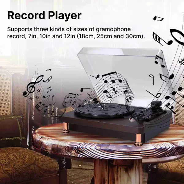 Vinylo Record Players AU1