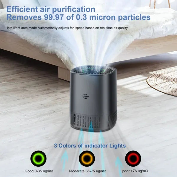 AirLume Air Cleaners for House US8