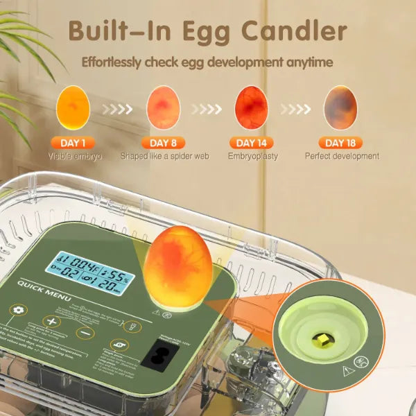 EggCrest Chicken Egg Incubators US8