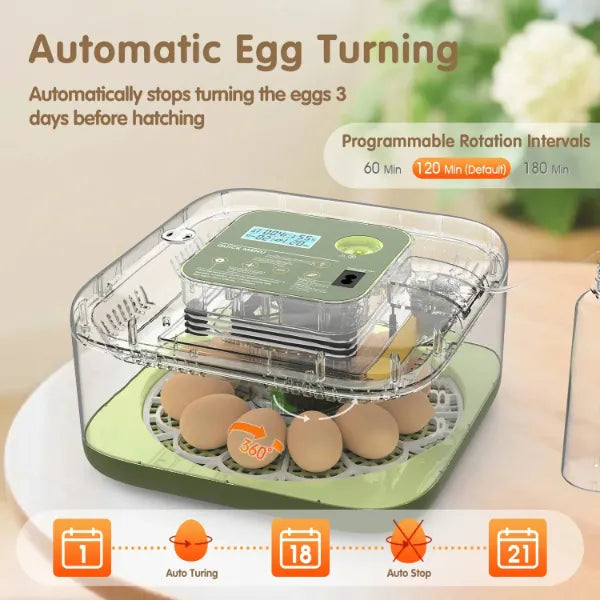 EggCrest Chicken Egg Incubators US8