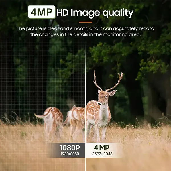 RewrerCam Trail Cameras for Security