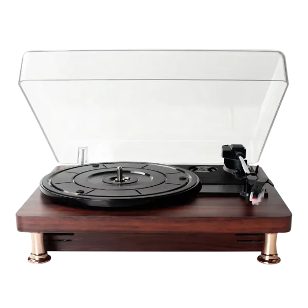 Vinylo Record Players AU1